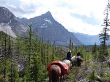 Canada-Alberta-Tombstone Pass Backcountry Ride